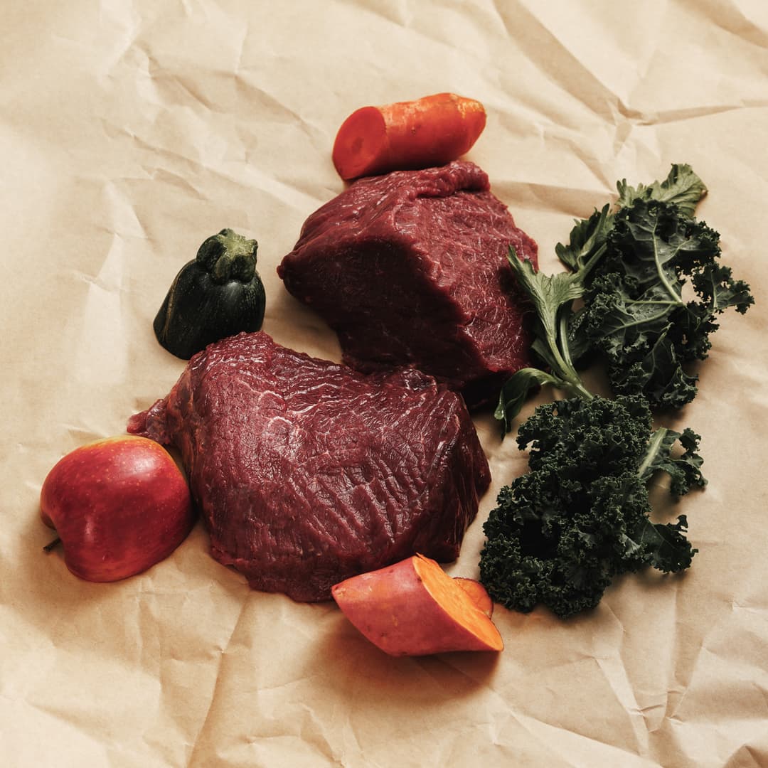 A Brief History of Dog Food